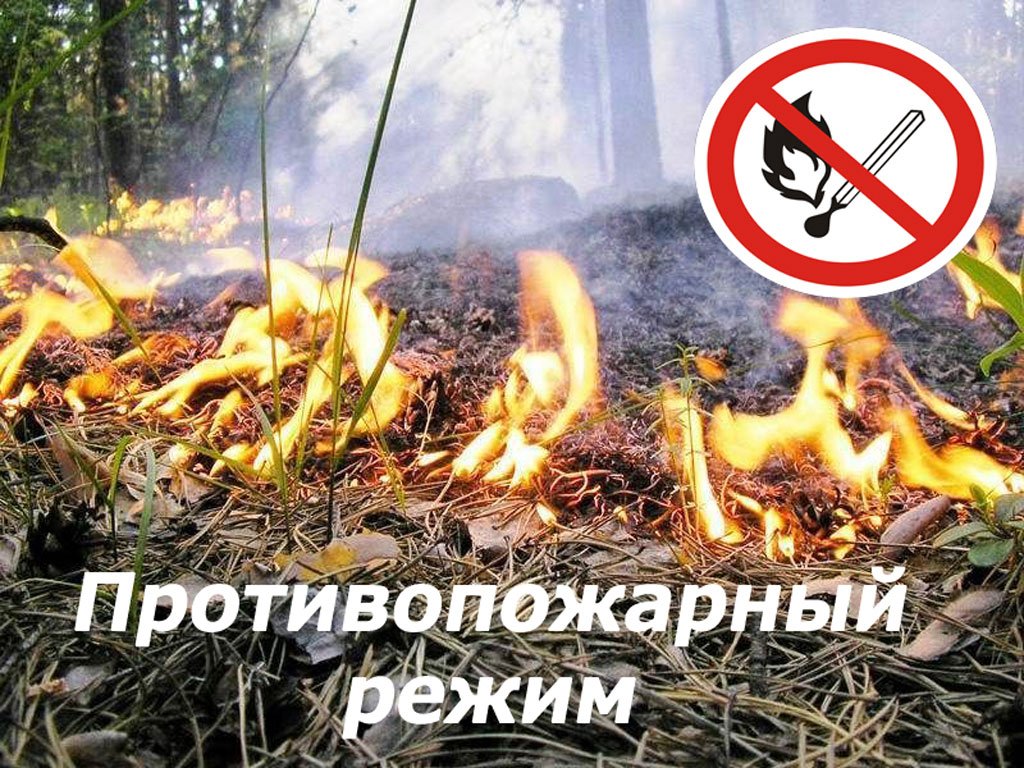 ОСОБЫЙ ПРОТИВОПОЖАРНЫЙ РЕЖИМ ВВЕДЕН С 12 ИЮЛЯ.